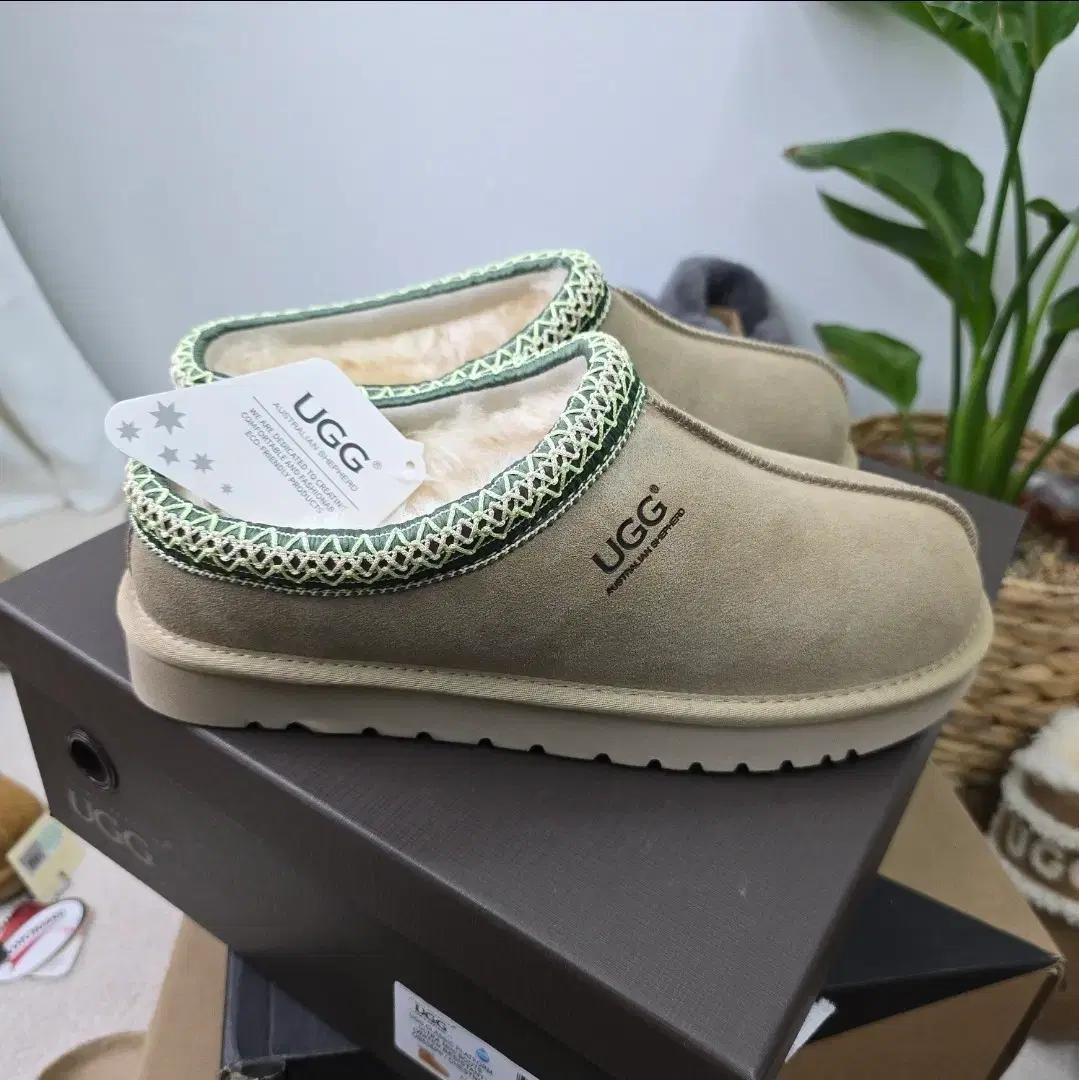 호주어그 테이 타스만 슬리퍼 샌드라임 EU40(250)