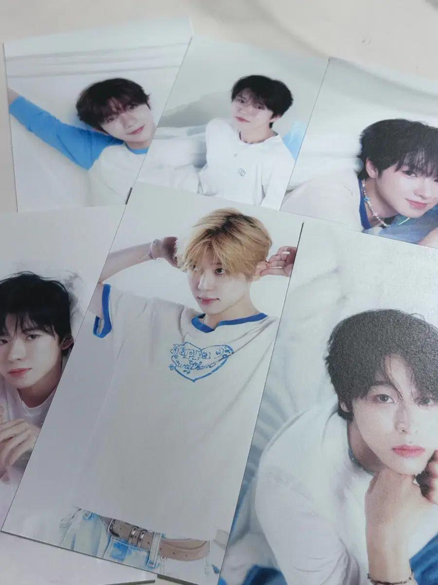 엔시티 위시 시즌그리팅 엽서 일괄 양도