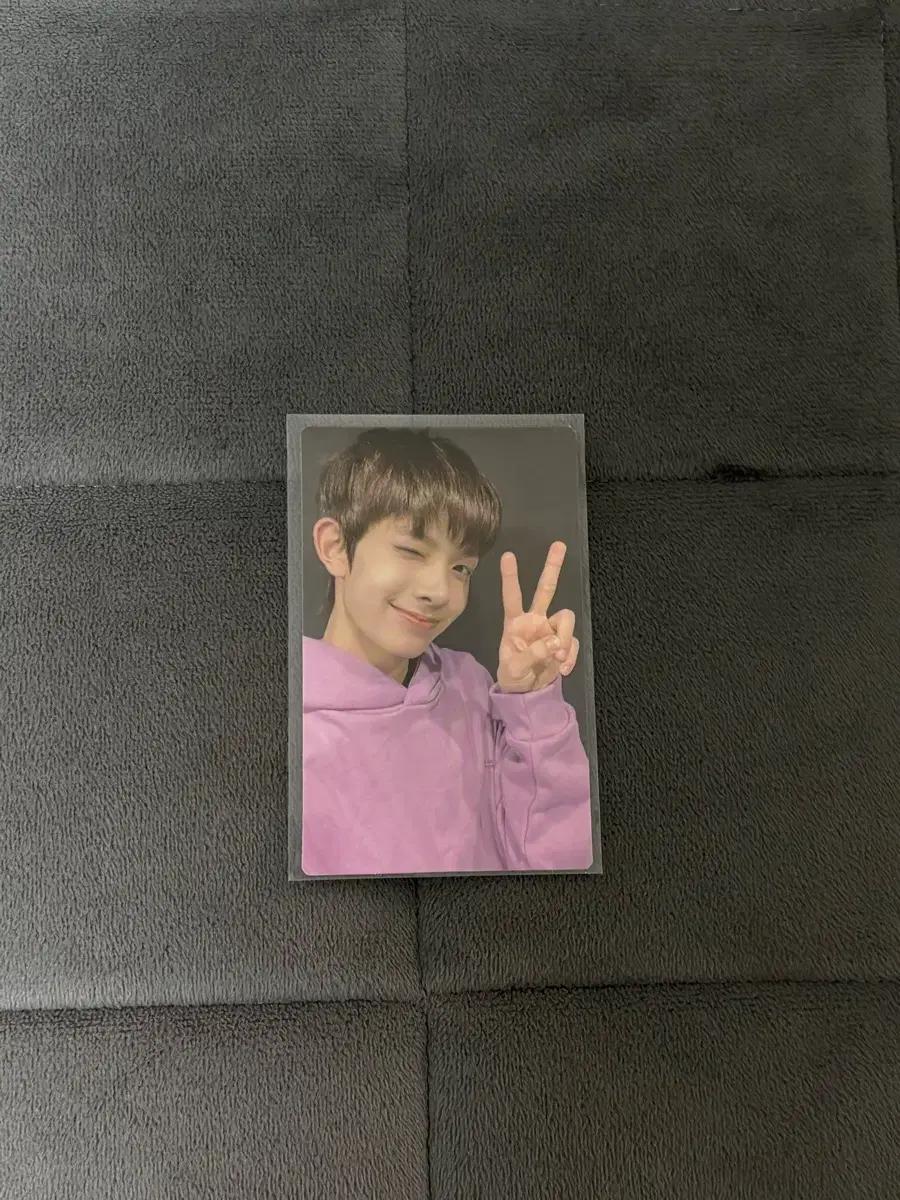 엔하이픈 희승 포카