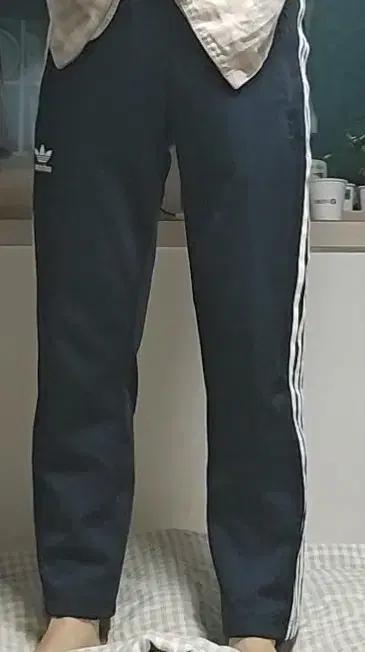 아디다스 트레이닝바지 S