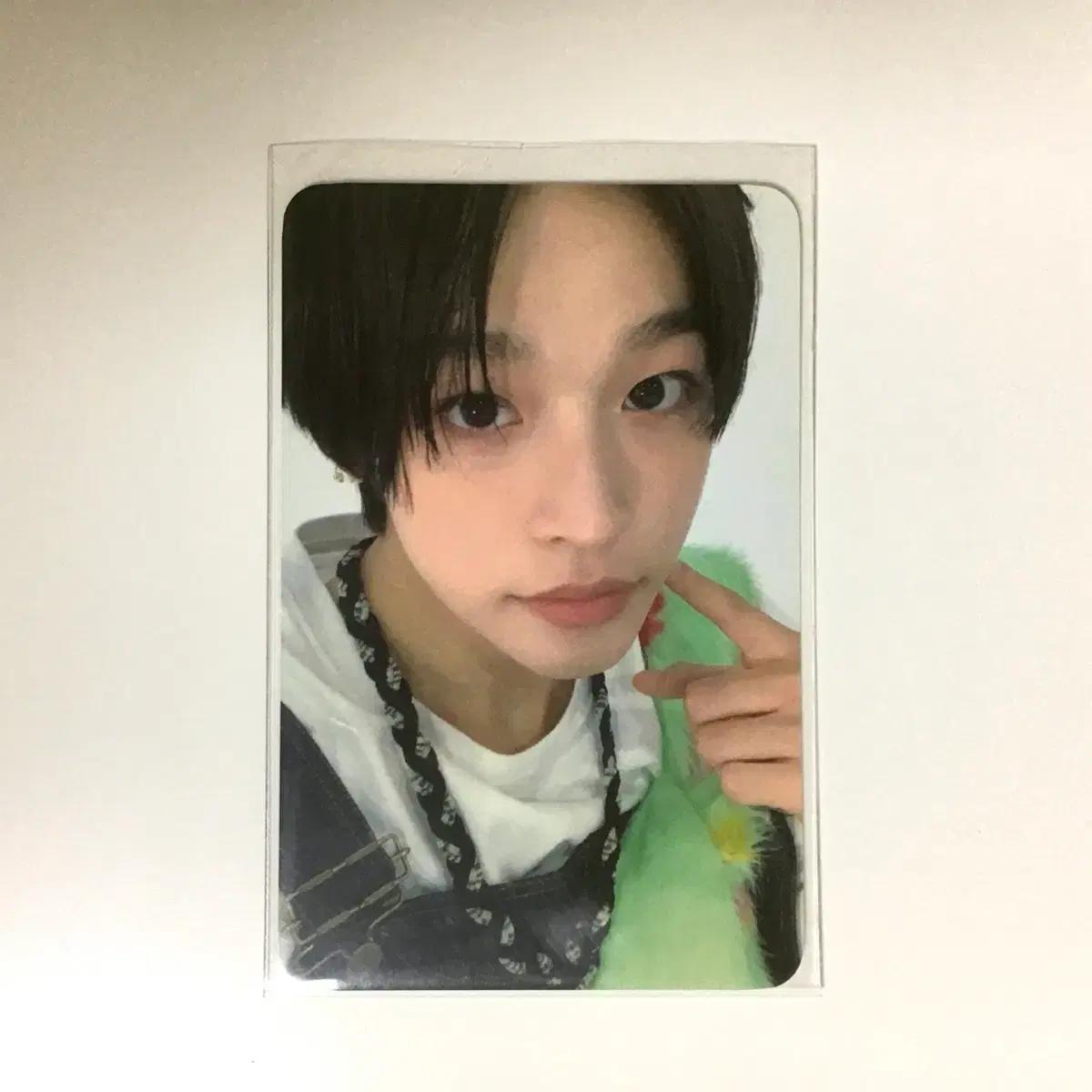 엔시티 위시 리쿠 송버드 럭드 양도