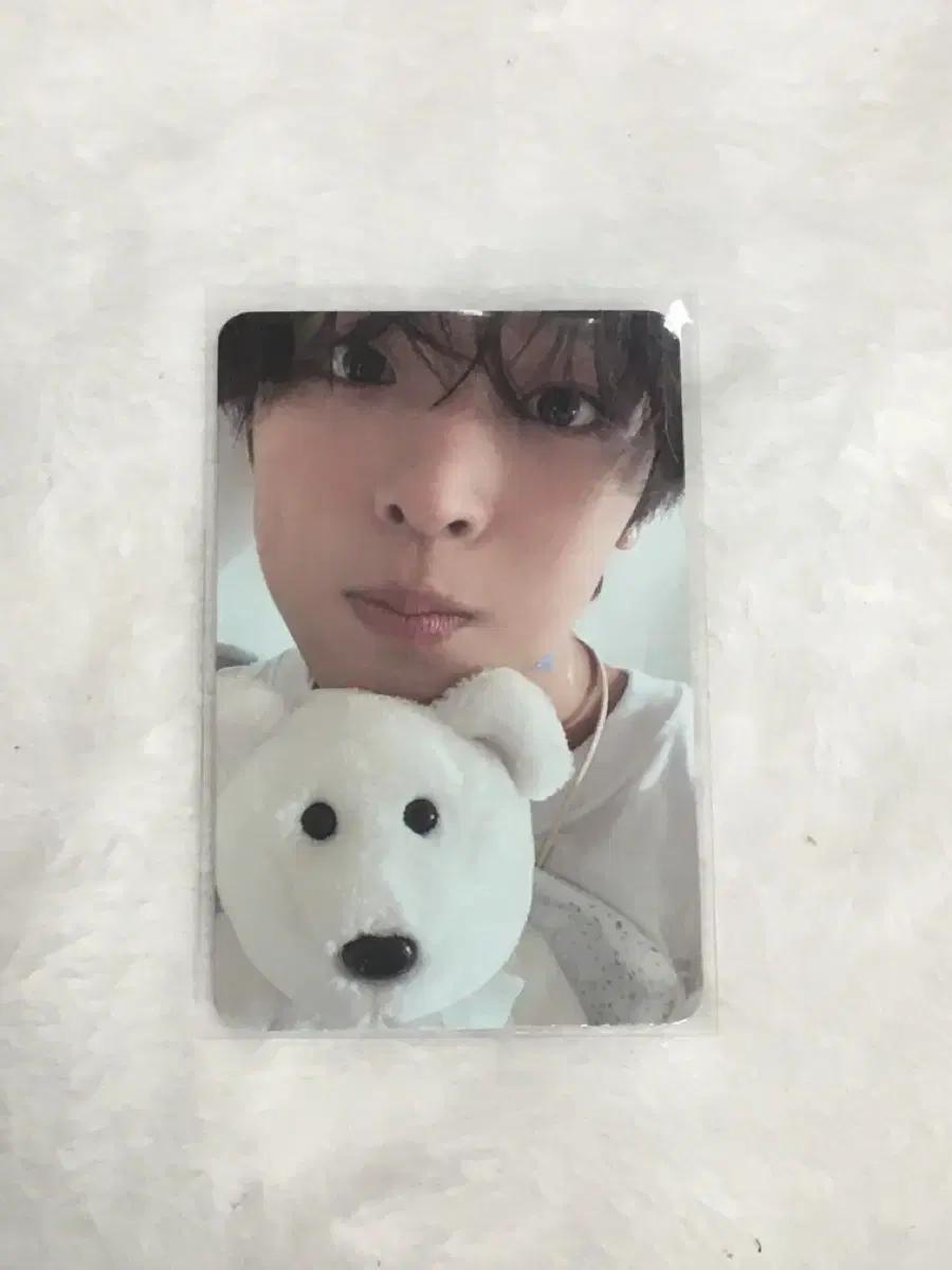 엔시티 위시 스테디 리쿠 프시케 포카