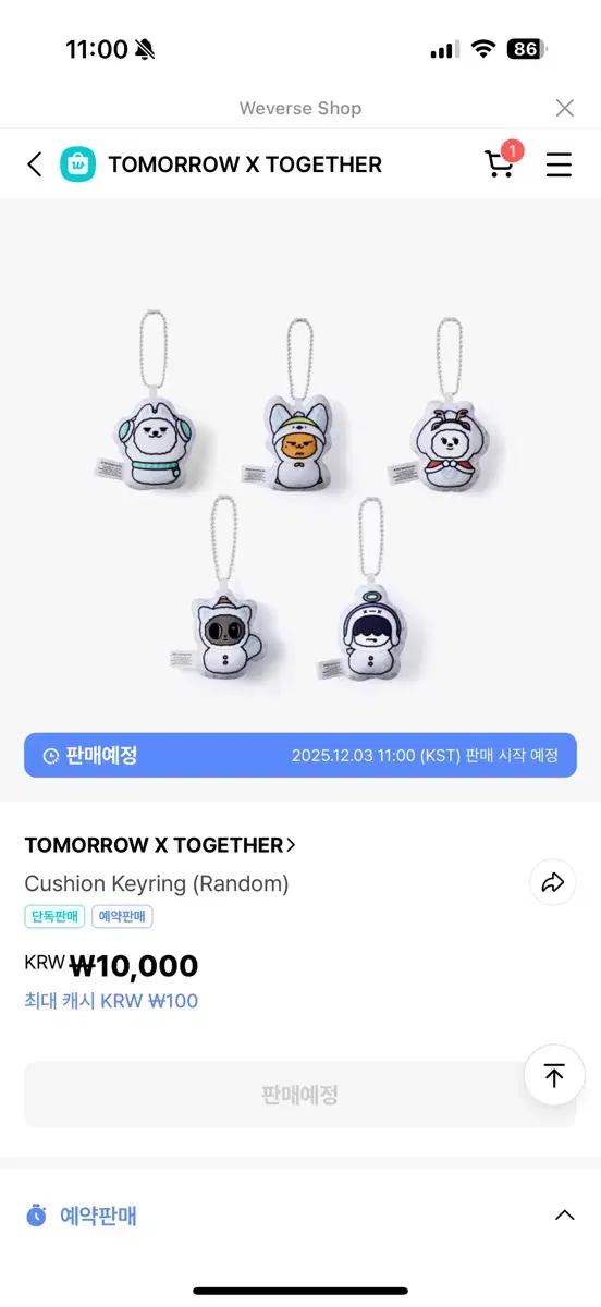 뿔바투 쿠션 키링 용멍 수빈 투바투 포카 스노우 매직 최용멍 분철