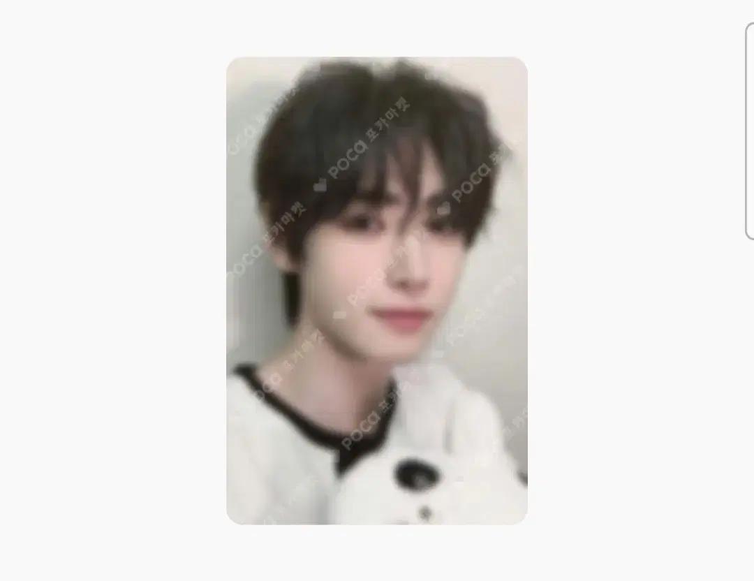 엔하이픈 성훈 이즈위 포카 판매