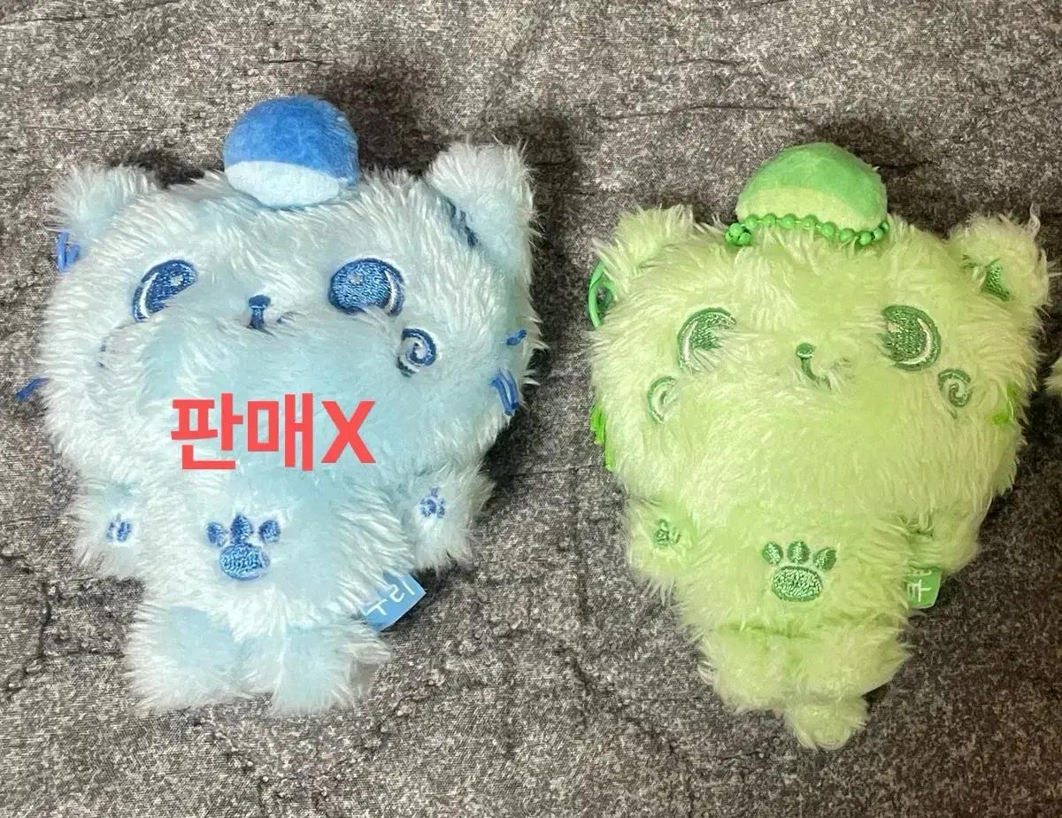 컬러 위시돌 nct wish 쿠리 그린 초록 블루 파랑