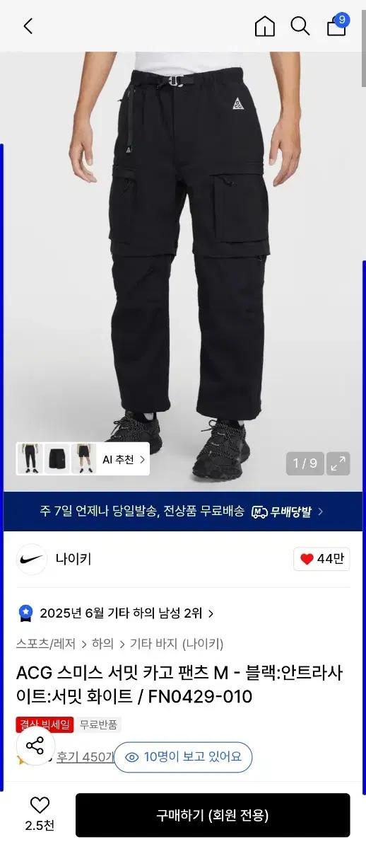 나이키 ACG 스미스 서밋 카고 팬츠 [2xl]
