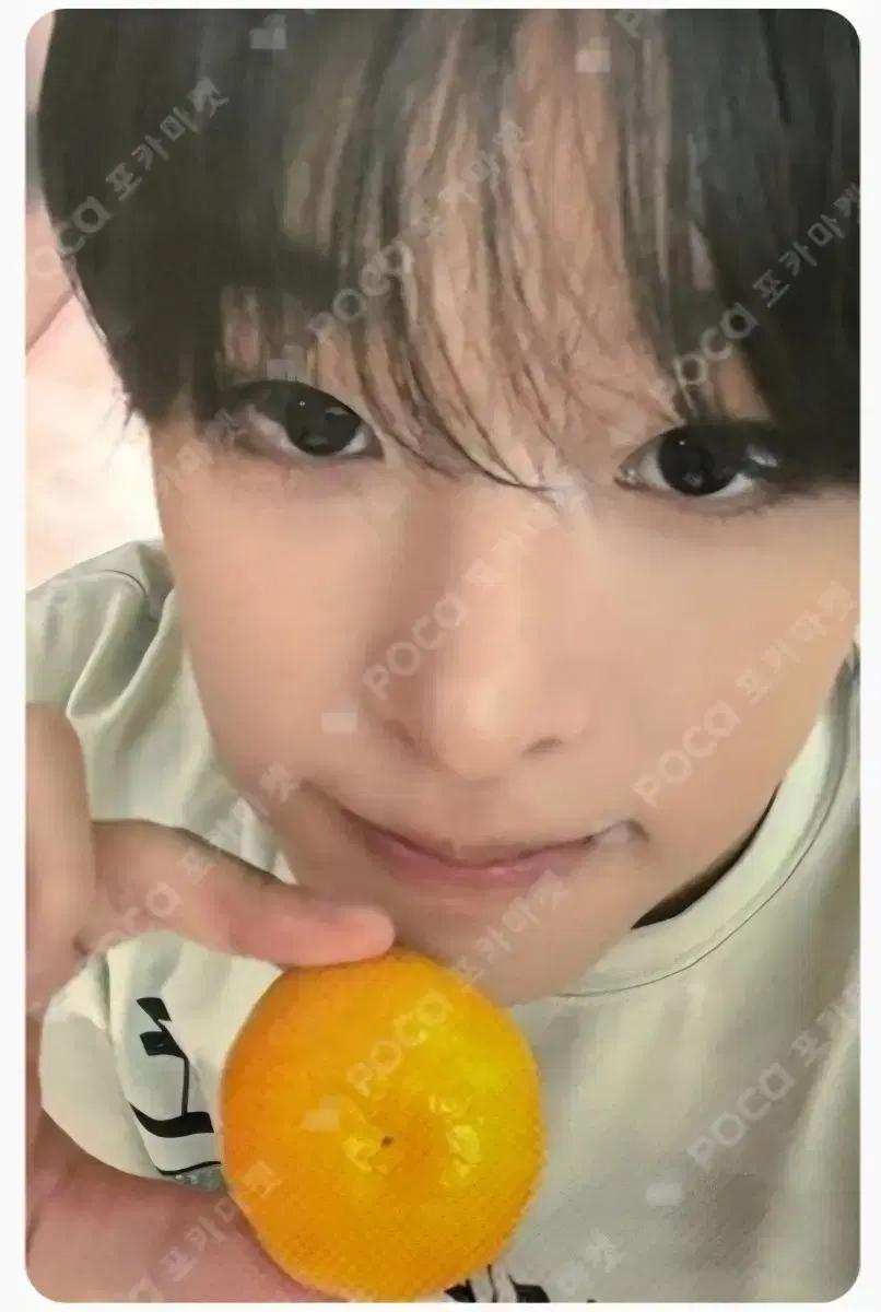 (구함) 엔시티위시 리쿠 럭드 포카 일괄 양도 구합니다