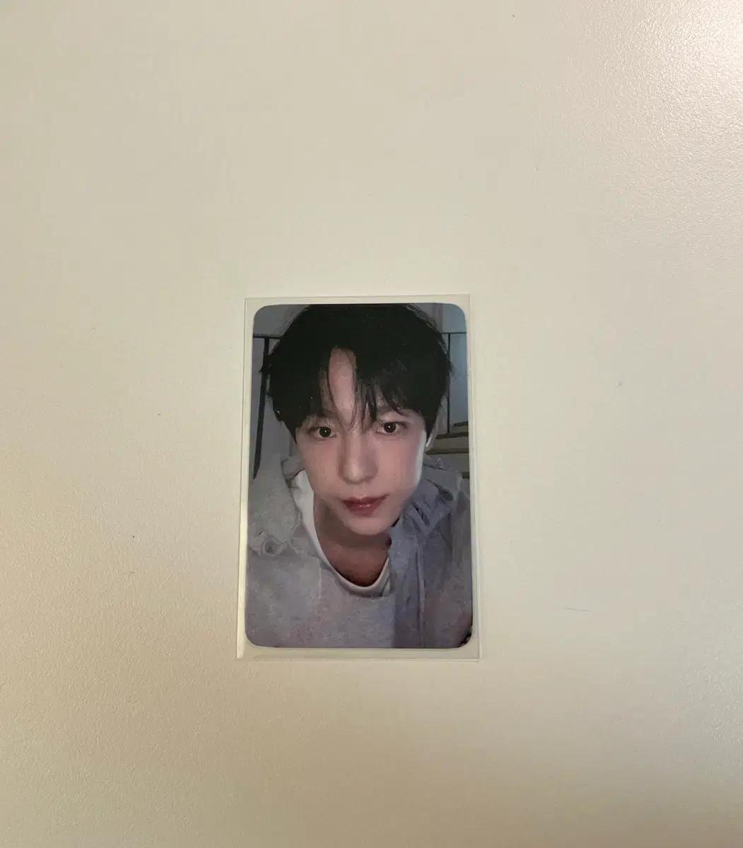 엔시티위시 유우시 송버드 에버라인 포카