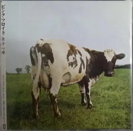 (일본 CD) Pink Floyd 5집 - Paper Sleeve CD