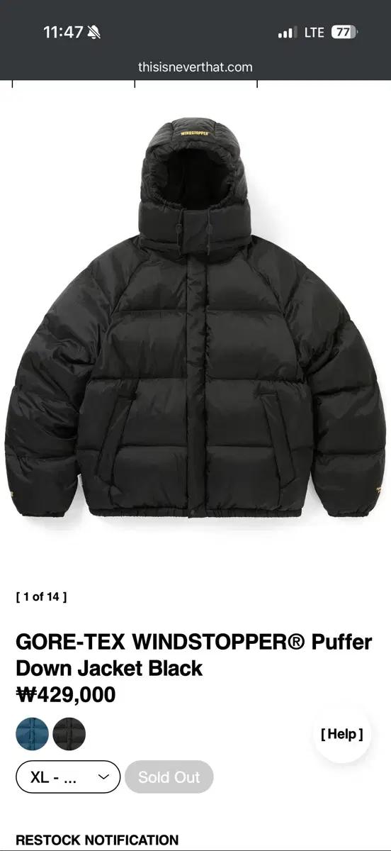 [XL]디스이즈네버댓 고어텍스 패딩