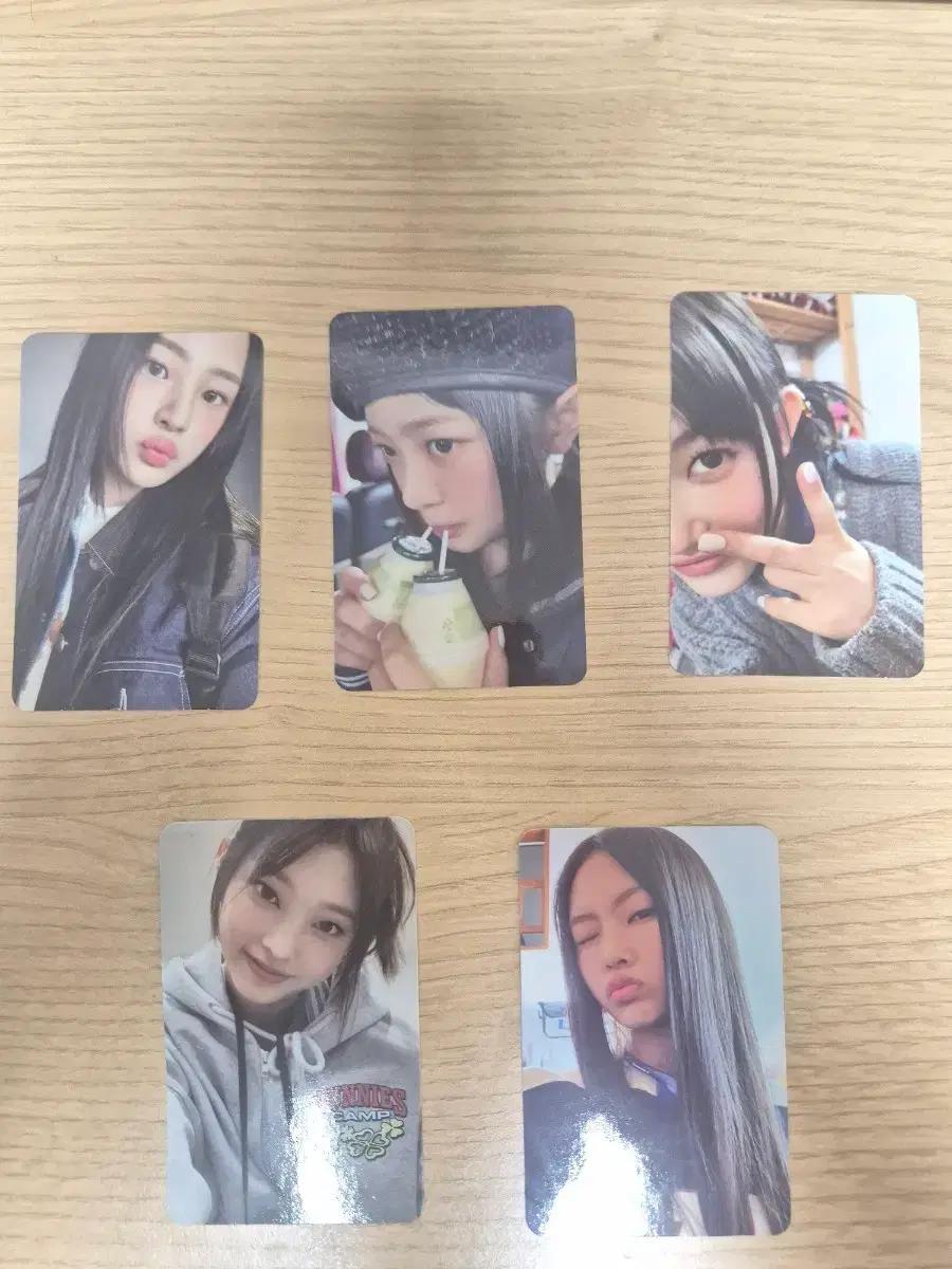 뉴진스 버니즈캠프 특전포카 일괄양도