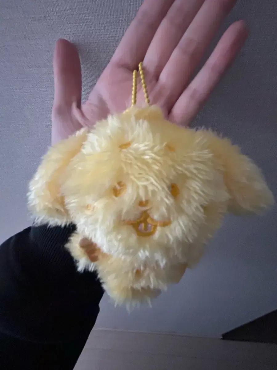 엔시티 위시 컬러 위시돌 댕트리버 교환