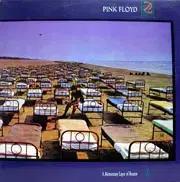 PINK FLOYD (A MOMENTARY LAPSE OF REASON)