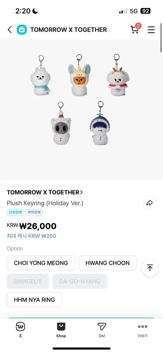 투모로우바이투게더 홀리데이 키링 인형 용멍이