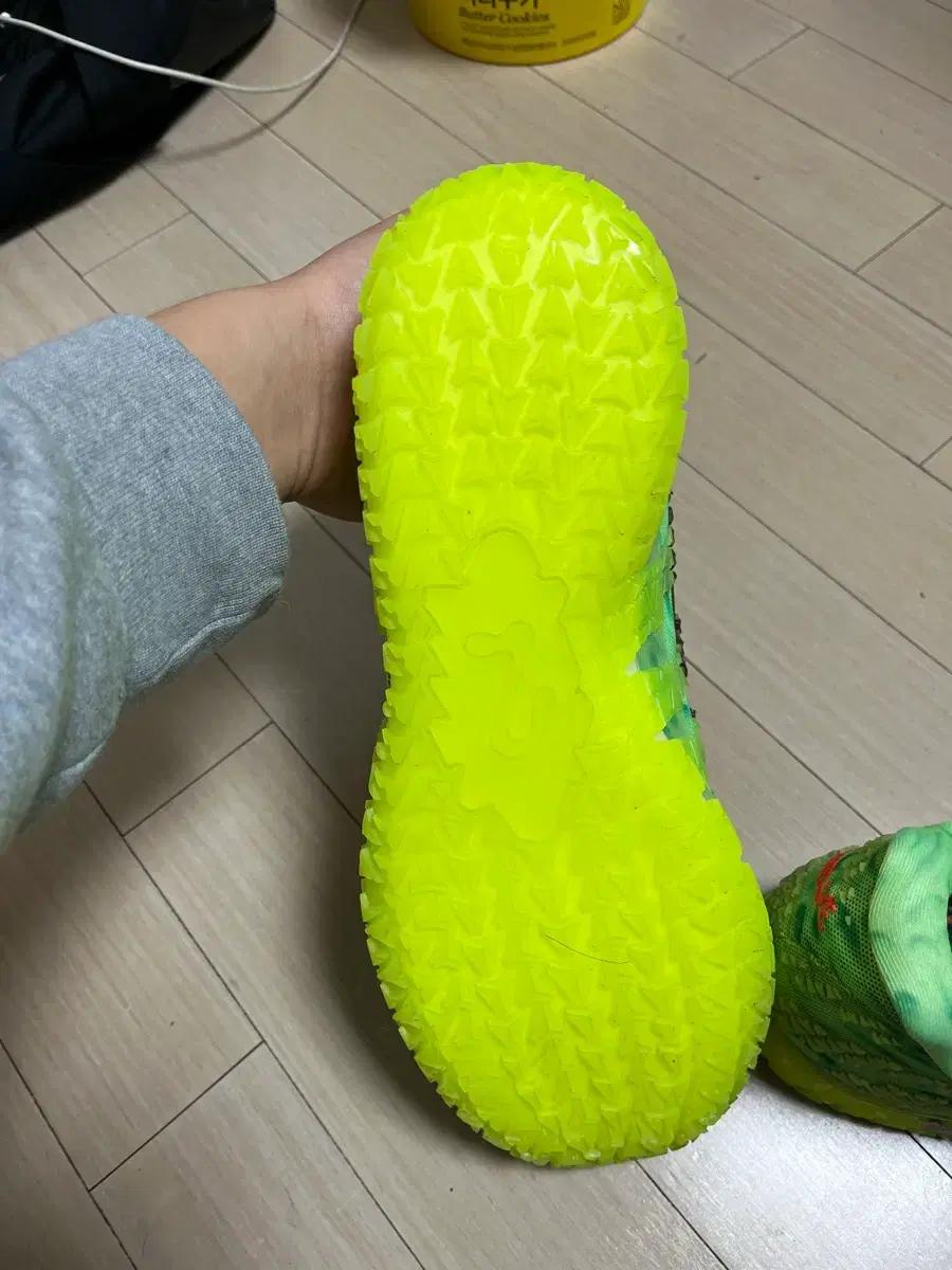 자모란트 3 스푸키