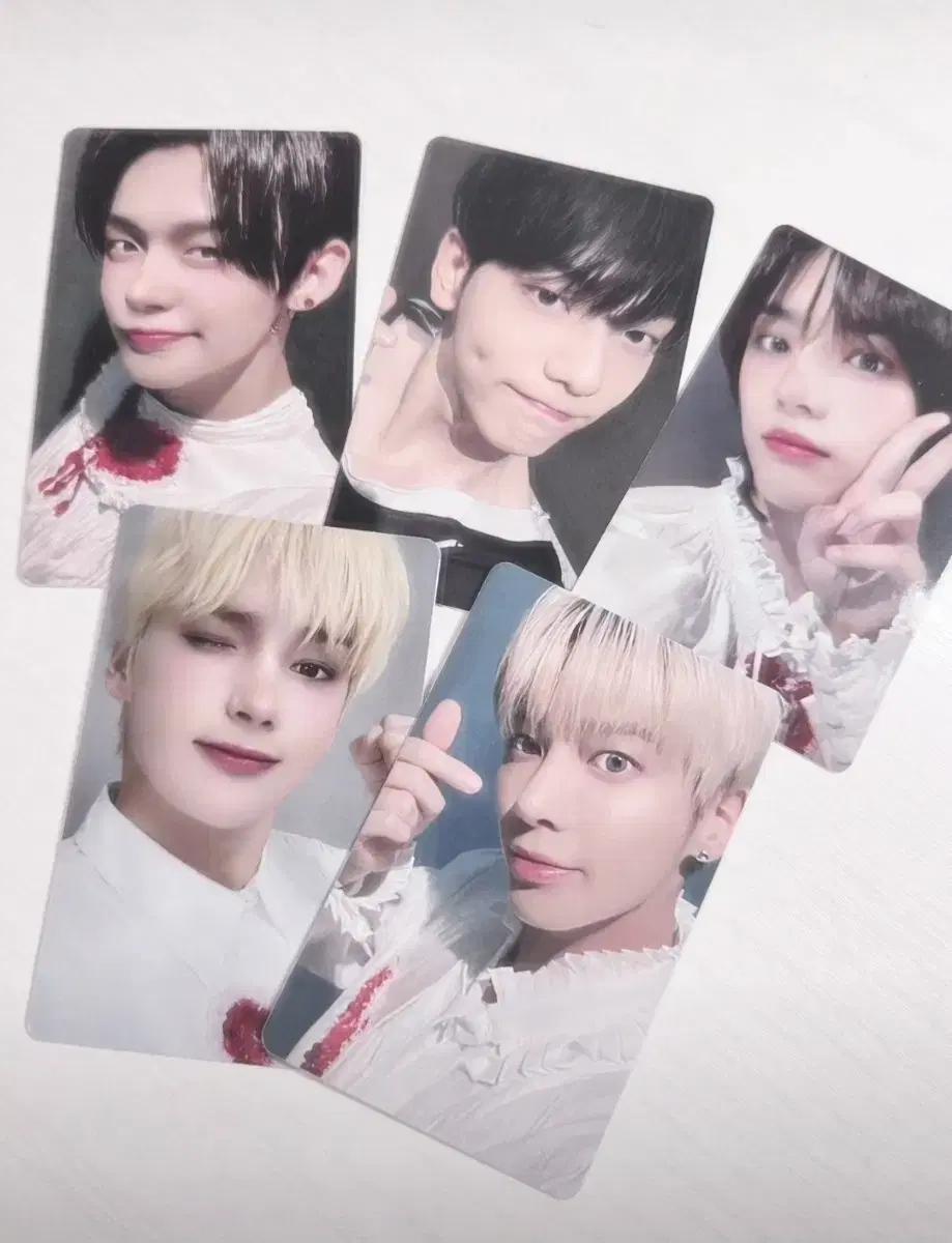 투바투 2021 FC 설문조사 포카