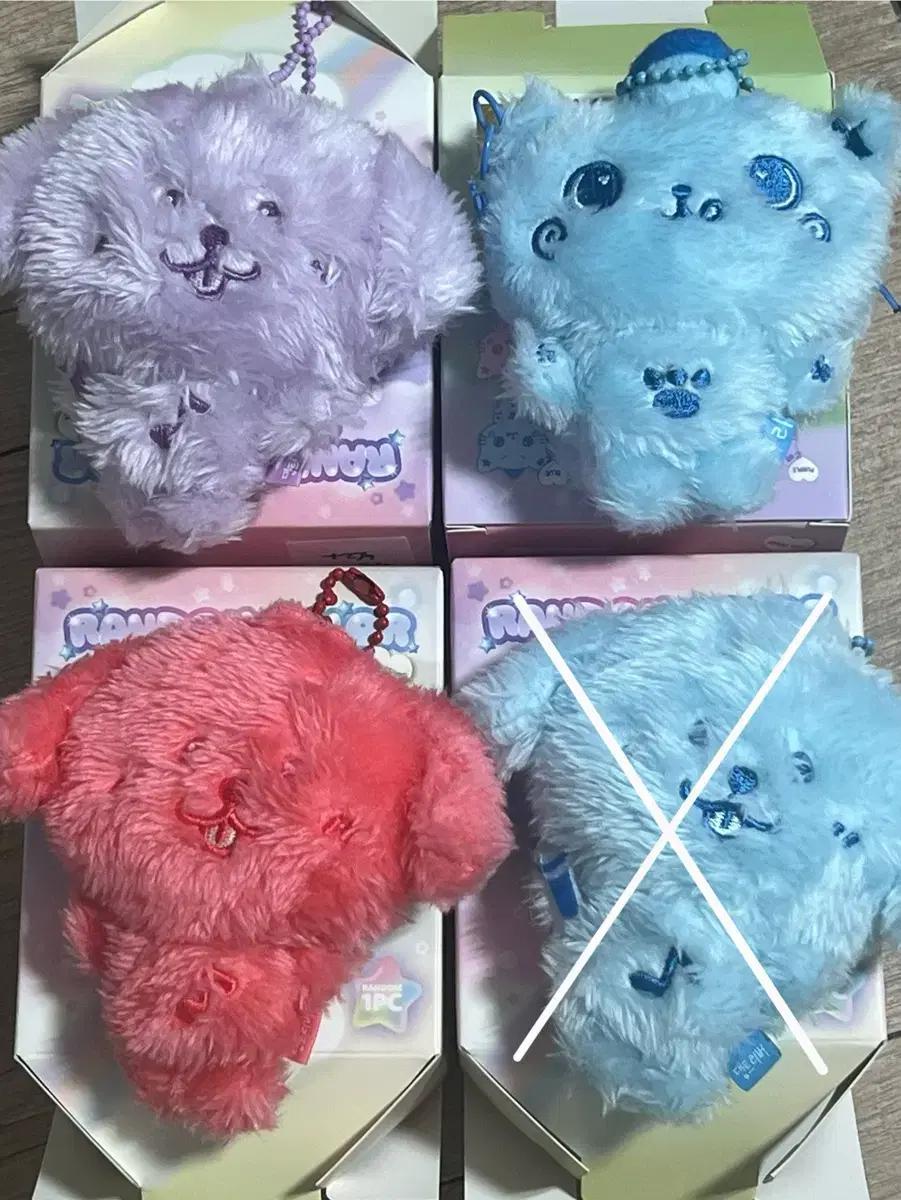 엔시티 위시 컬러돌 쿠리 댕트 팡이 리쿠 재희 사쿠야 댕트리버