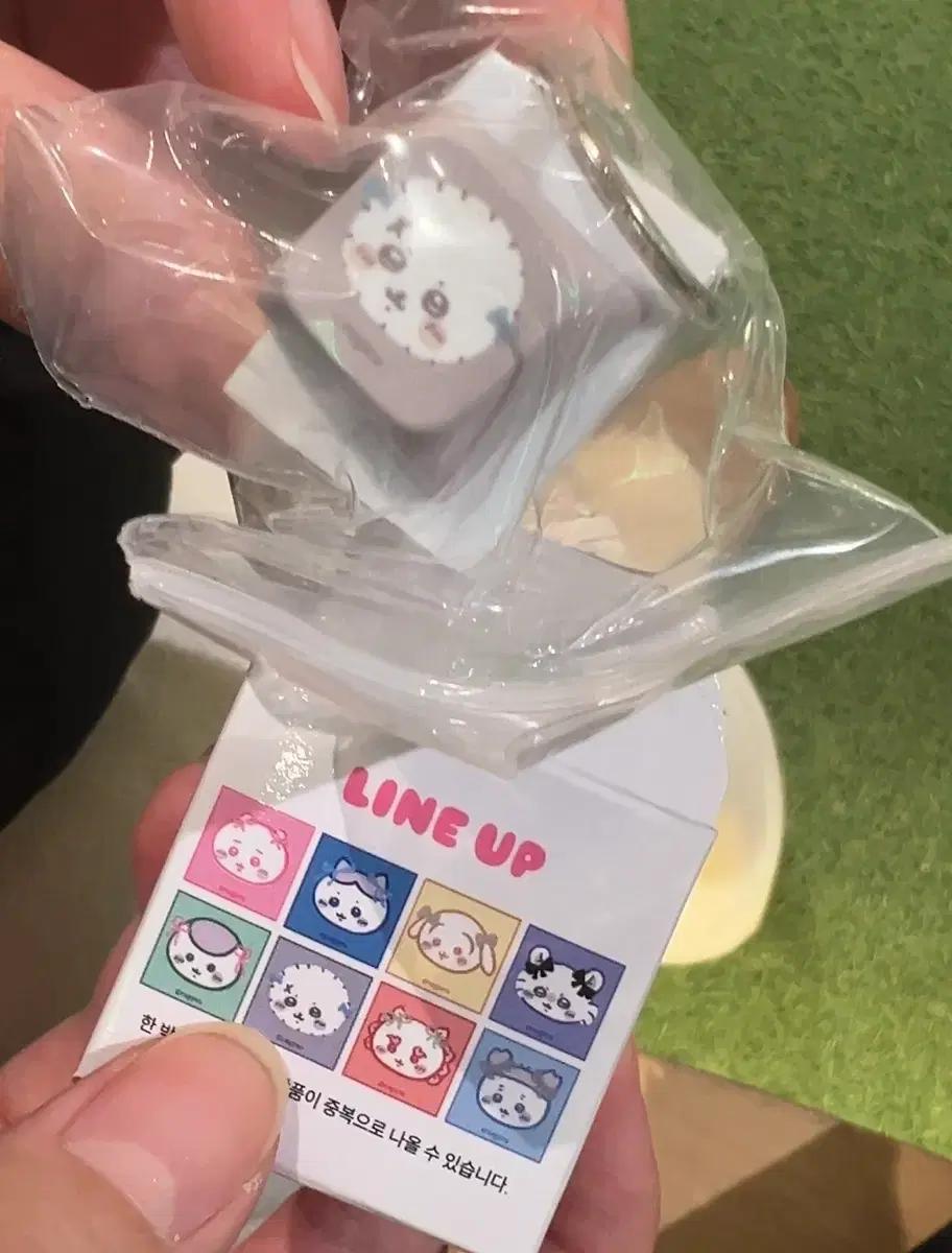 먼작귀 키캡 교환