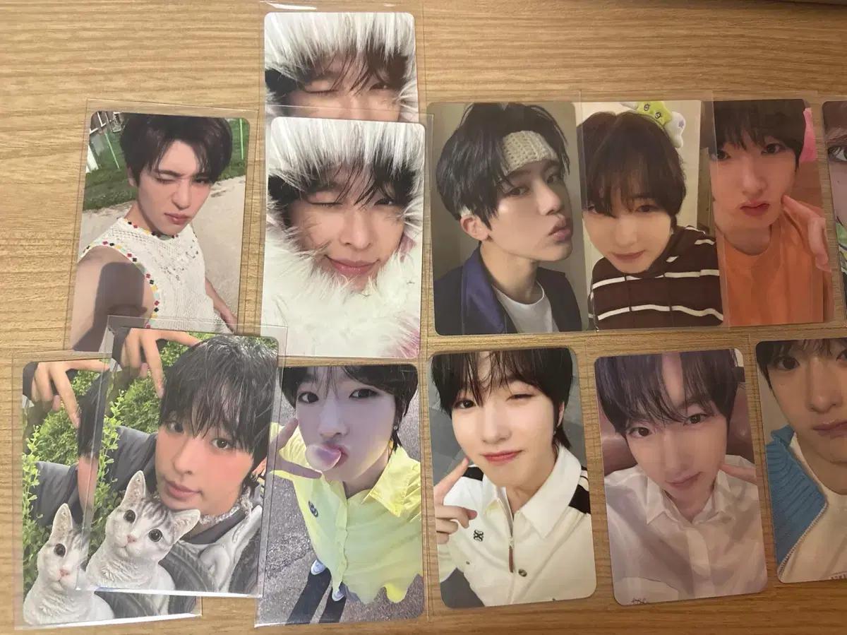 엔시티위시 사쿠야 시온 리쿠 포카 양도 교환