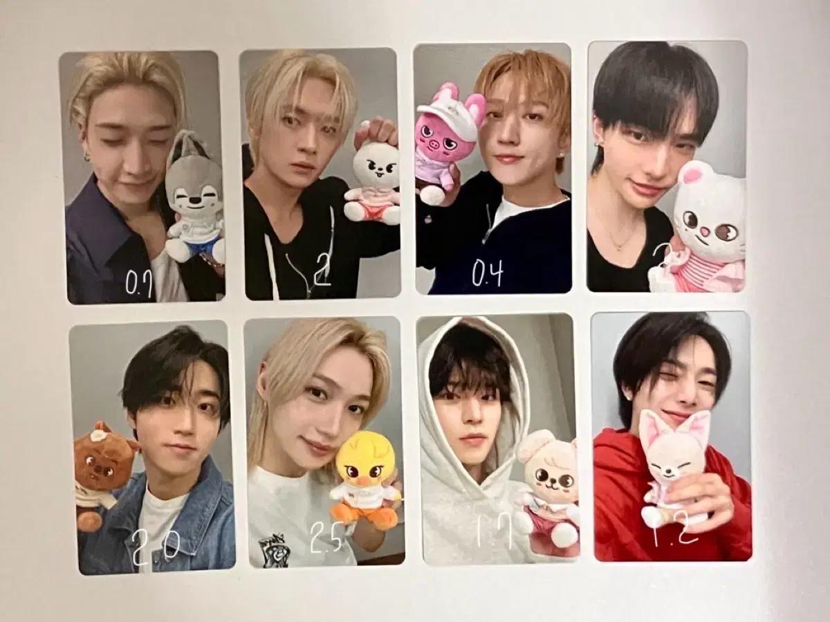 스트레이키즈 주토피아 엠디포카 양도