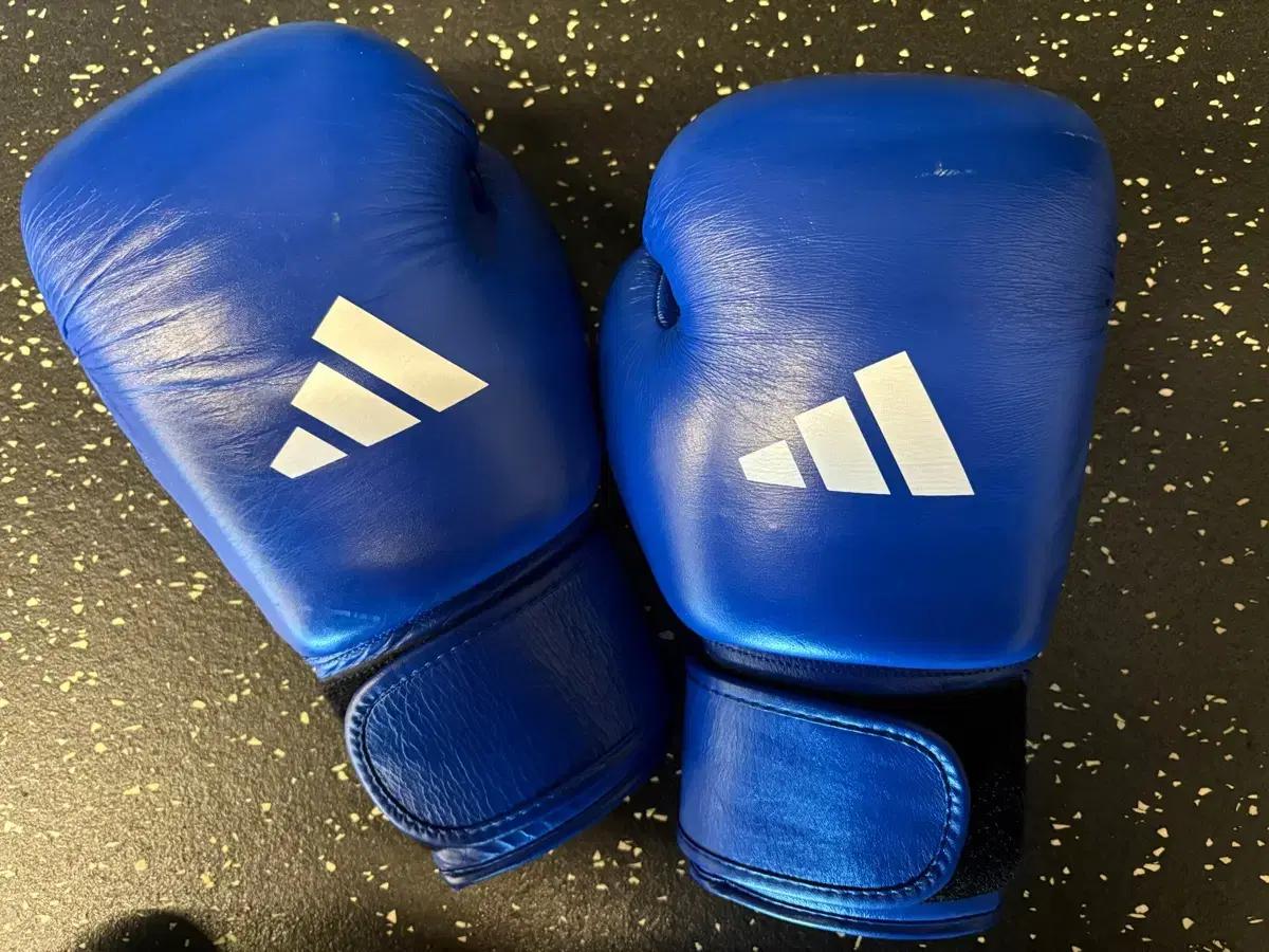 아디다스 아이바 복싱 글러브 블루