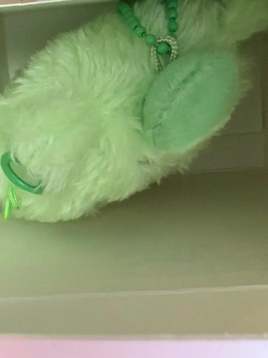 엔시티위시 컬러돌 초록색 쿠리 양도 교환