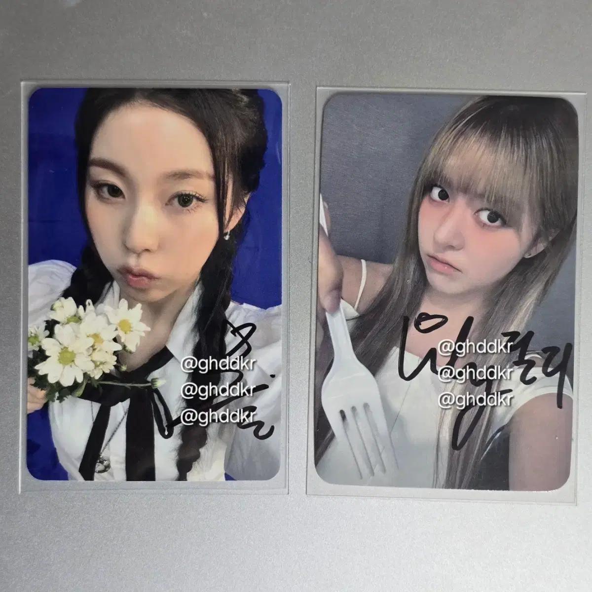 엔믹스 릴리 규진 싸포 싸인포카 nmixx lily kyujin sign