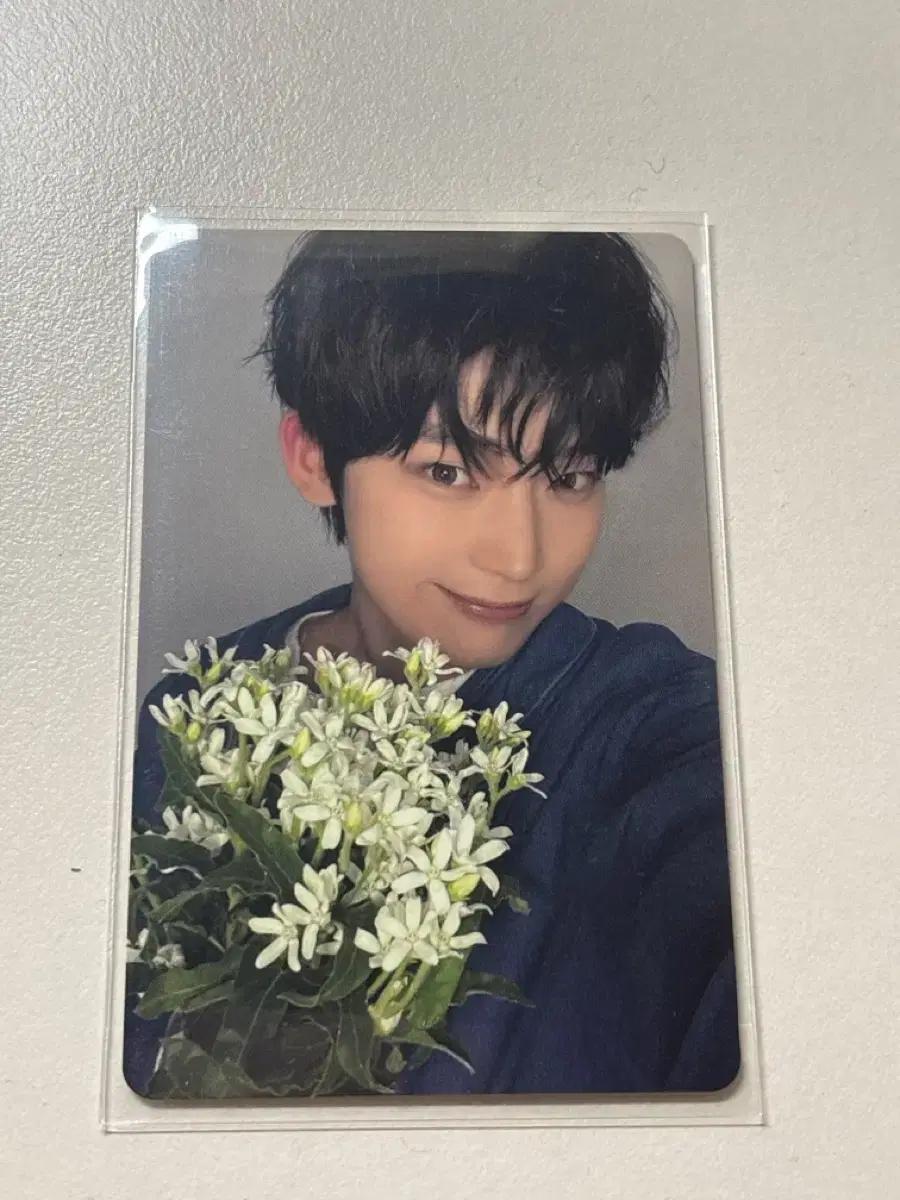 엔하이픈 선우 일본 위버스 포카