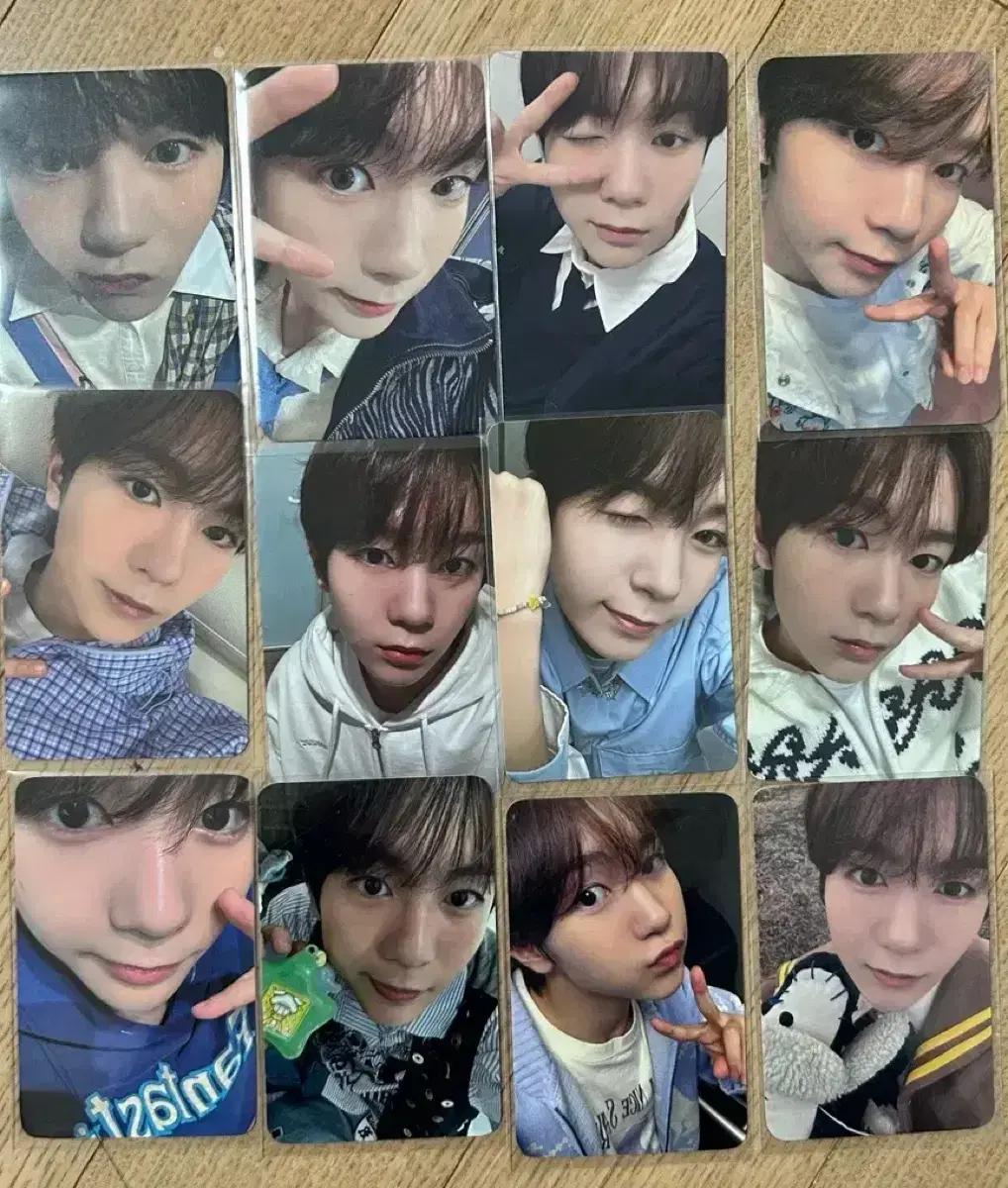 엔시티위시 료 포토카드 일괄