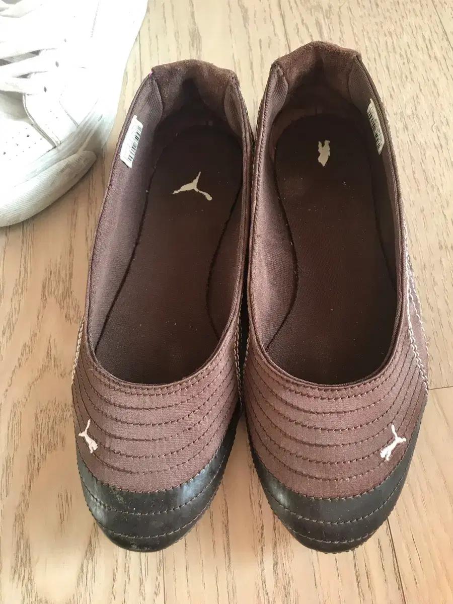 푸마 브라운 여성 단화 슬립온 230