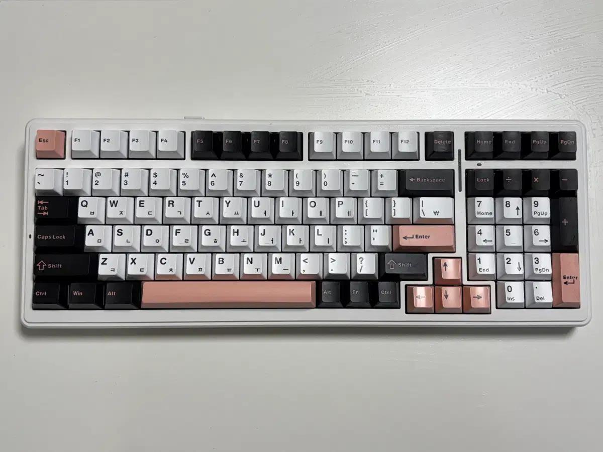 AULA F99 독거미 유무선 기계식 키보드 올리비아 화이트 경해축