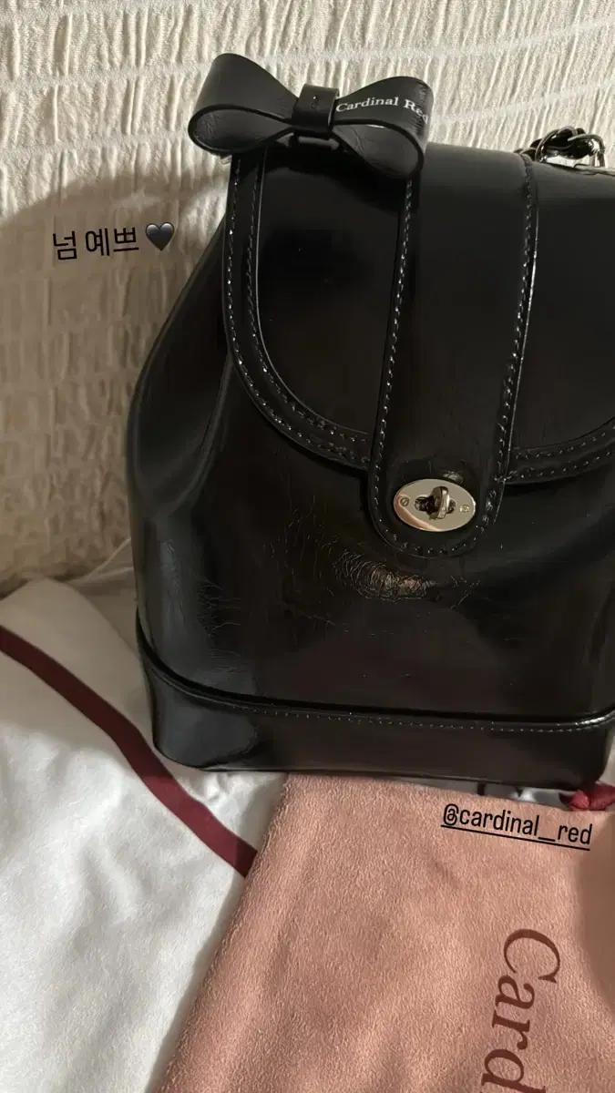 Cardinal Red 카디날레드 블랙 백팩