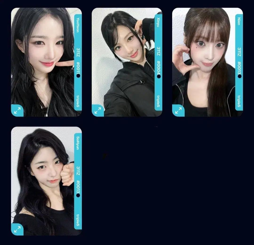 트리플에스 걸네다 마뮤테 특전 오브젝트 D311