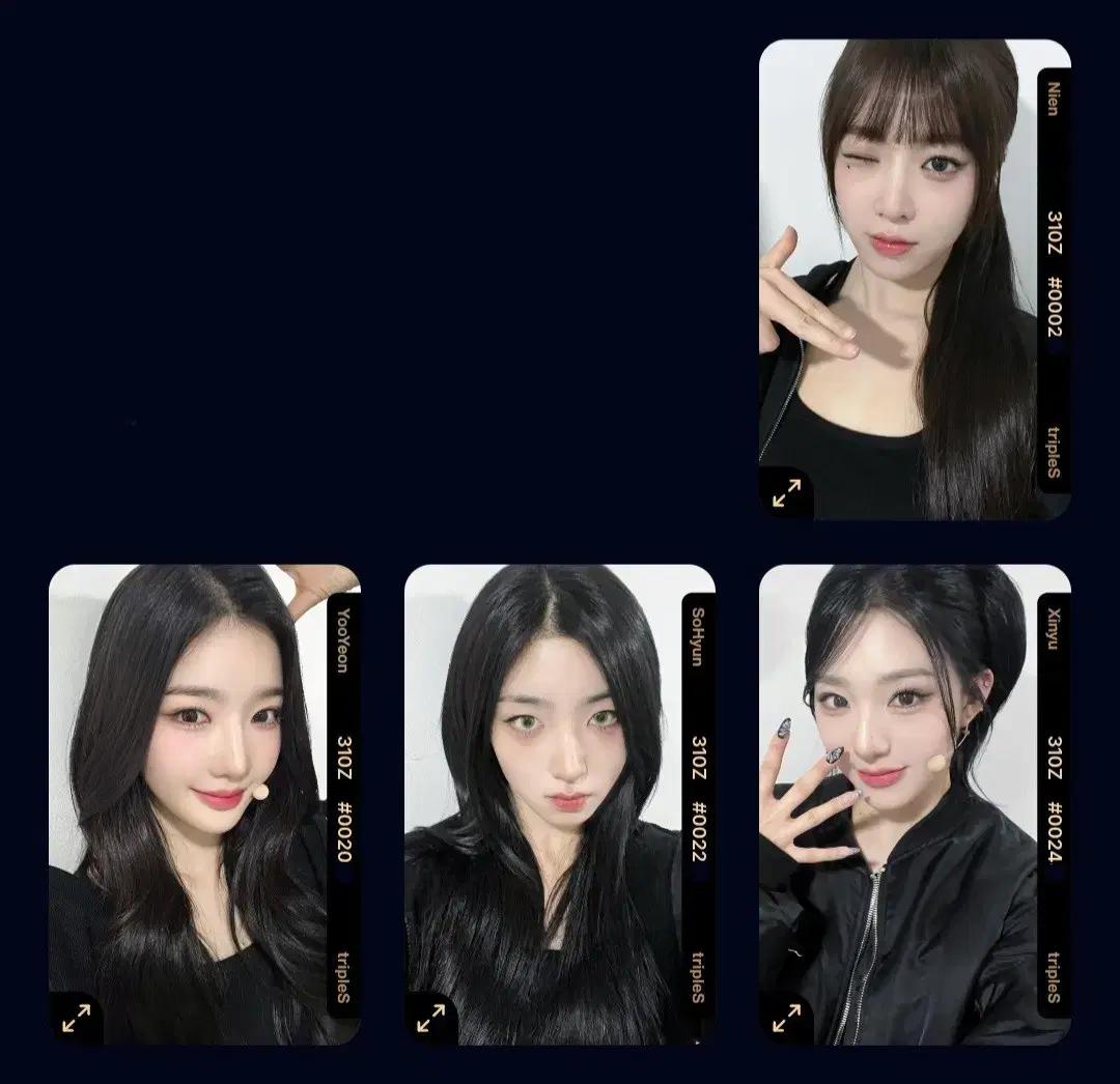 트리플에스 걸네다 오브젝트 D310