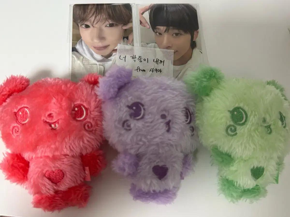 원양) 엔시티 위시 컬러 위시돌 컬러돌 팡이 인형 양도 일괄 리쿠 사쿠야