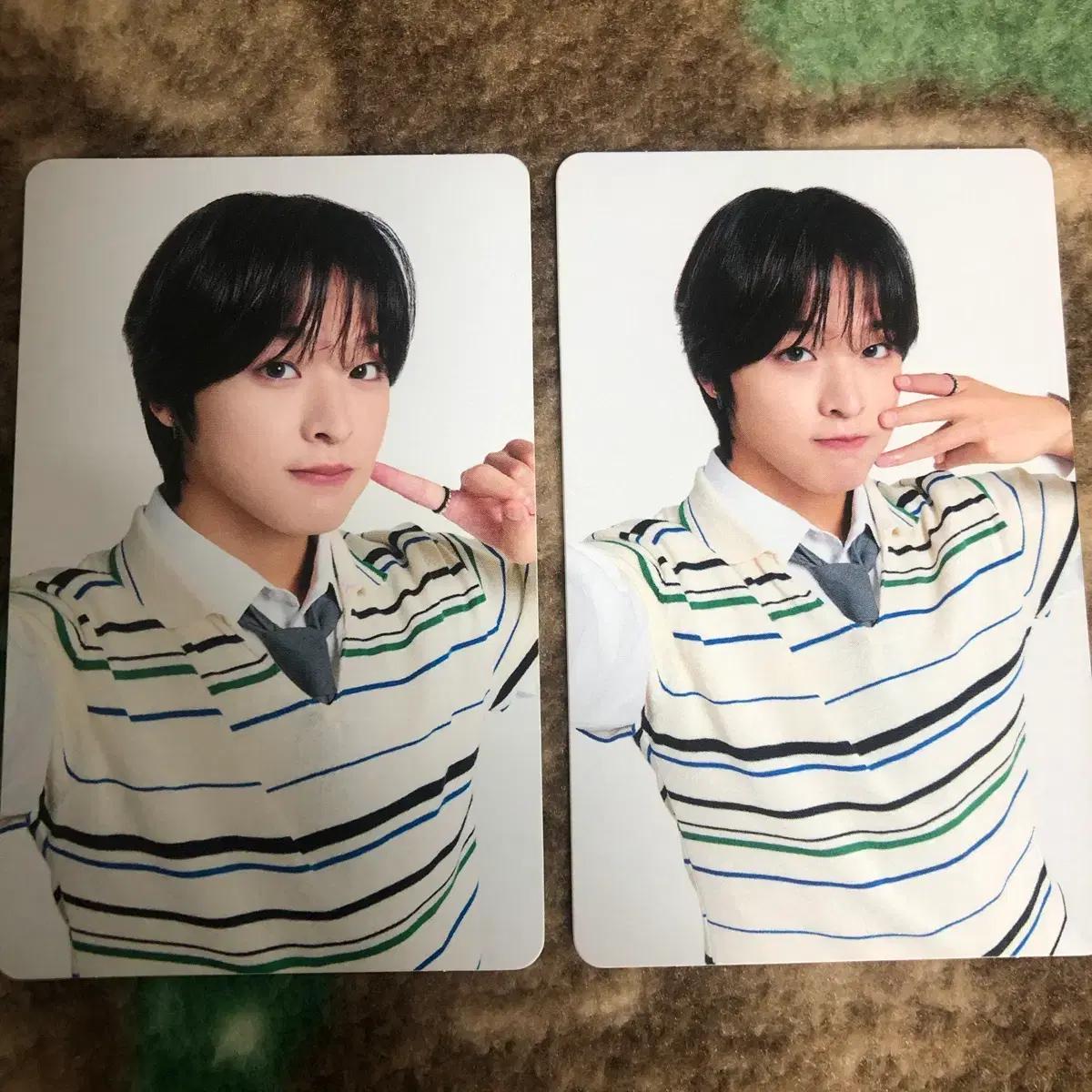 엔시티위시 일투 일본투어 콘서트 엠디 트레카 포카 리쿠