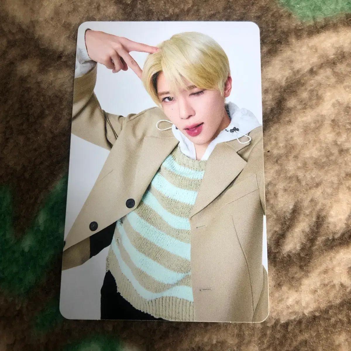 엔시티위시 일투 일본투어 콘서트 엠디 트레카 포카 시온