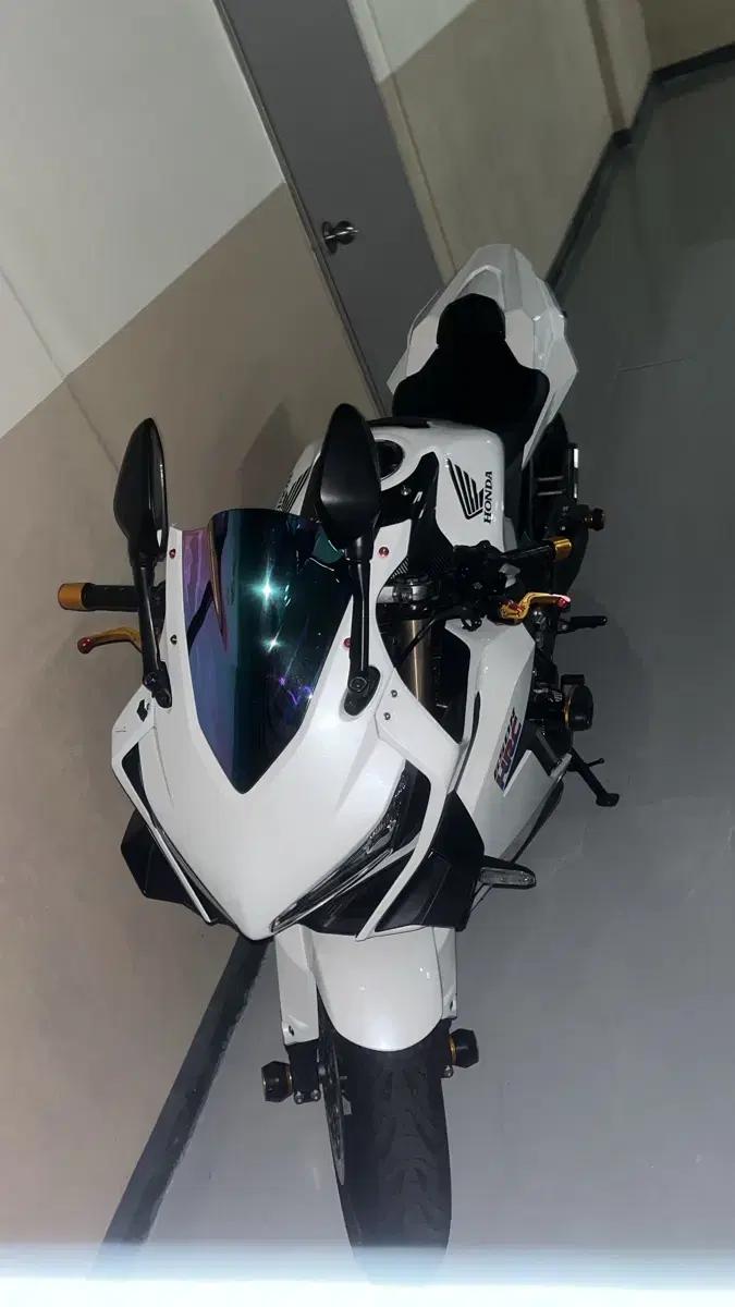 cbr650r 21년식 아크라포빅 풀배기 대차 가능