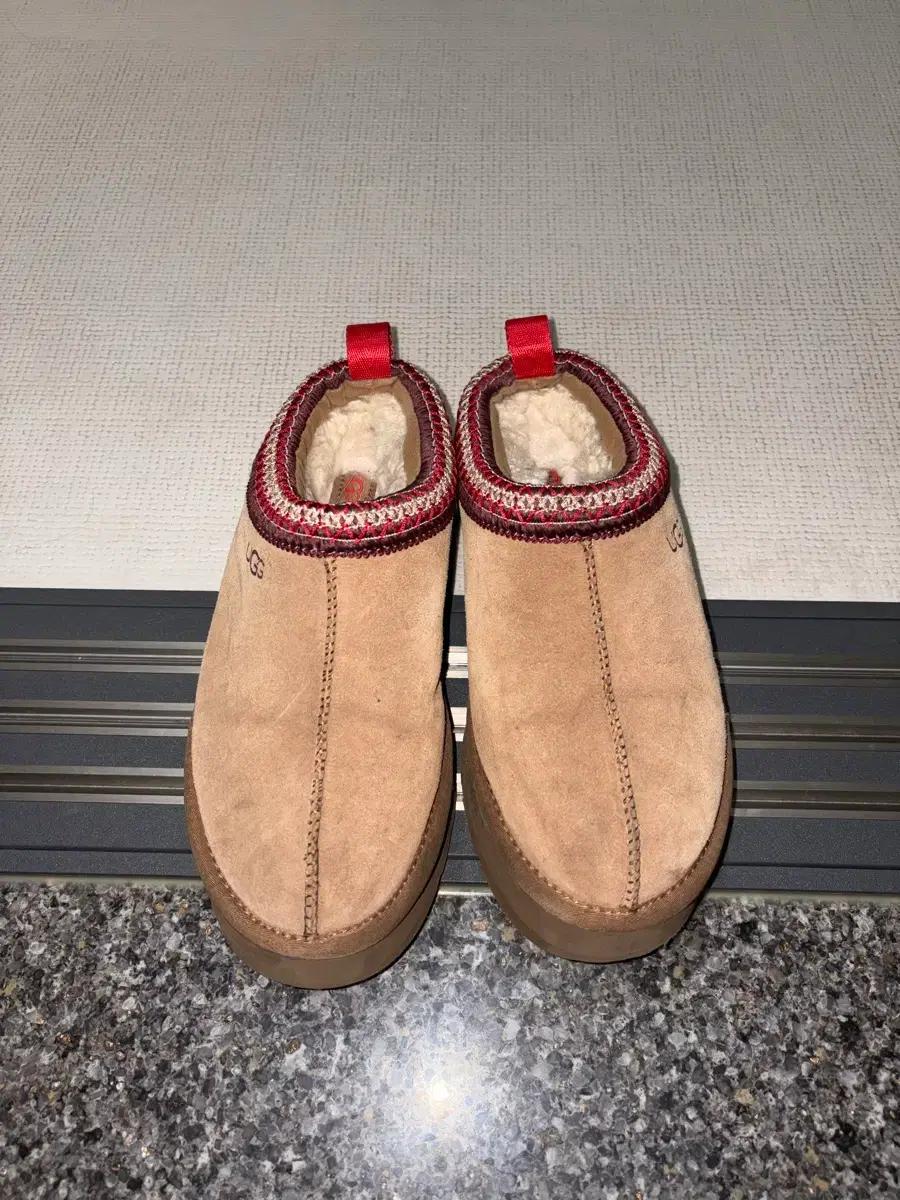 어그 타스만 체스넛 250