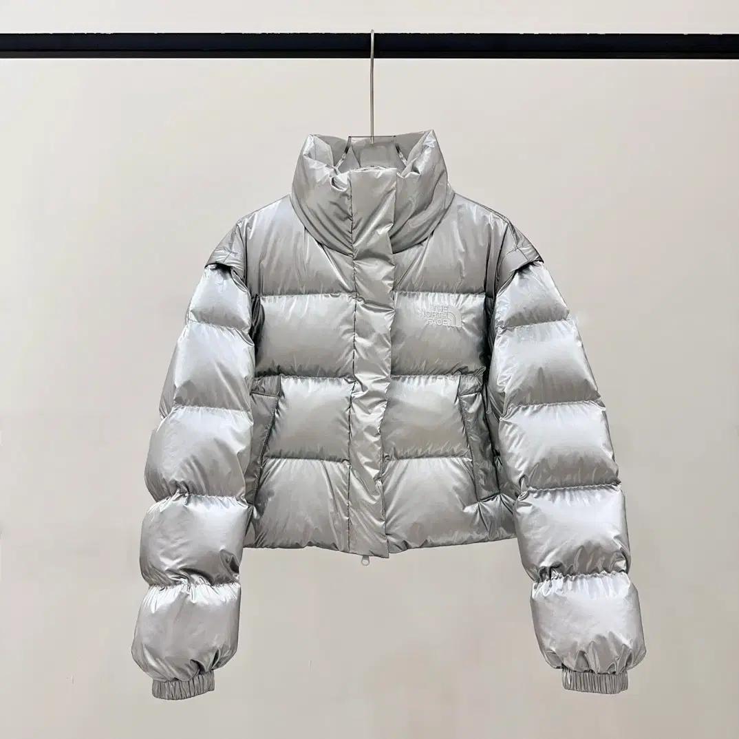 실버 리버시블 노스페이스 (The North Face) 다운