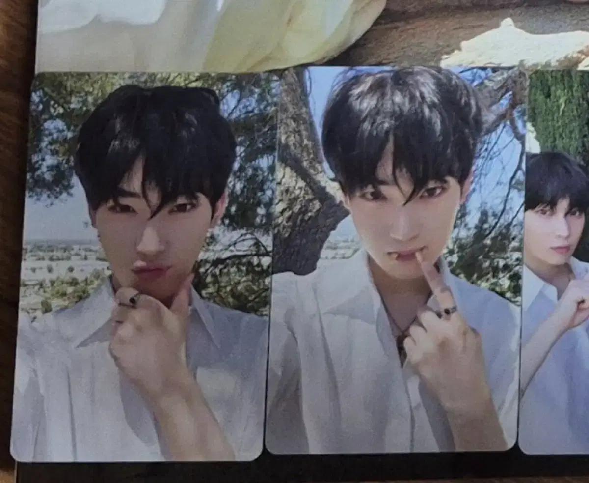 구해요)엔하이픈 선우 디아이콘 포카 포토카드