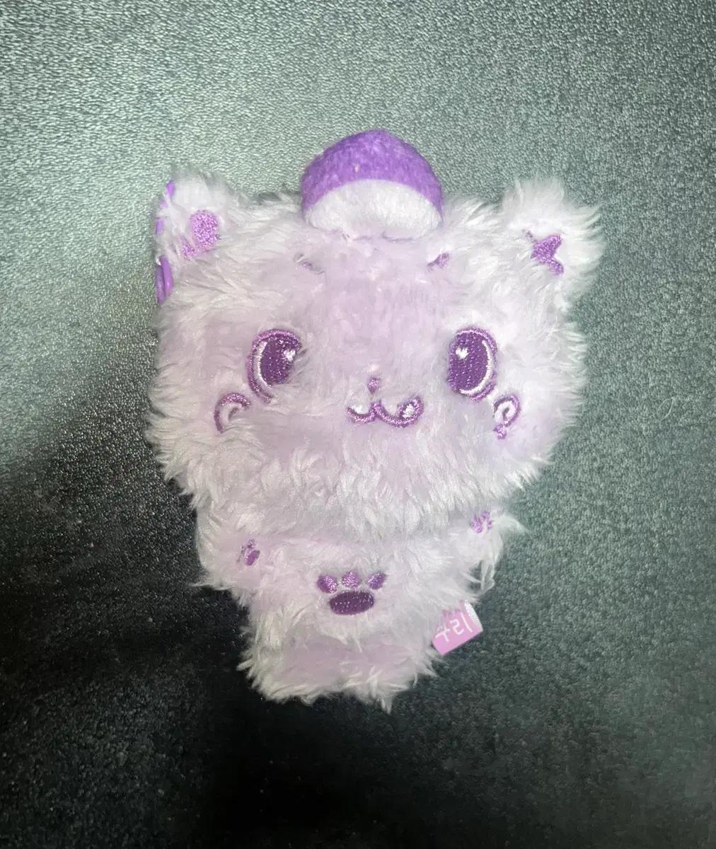 엔시티위시 리쿠 쿠리 컬러돌 윗부부 보라색