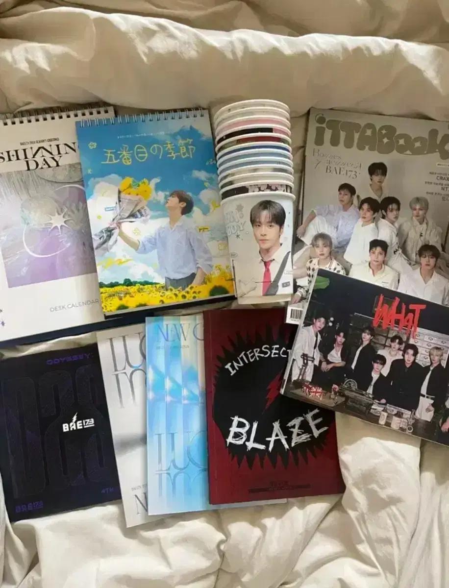 Bae173 굿즈 대량 판매 (시그, 포카, 앨범,생일특전,각종지류)