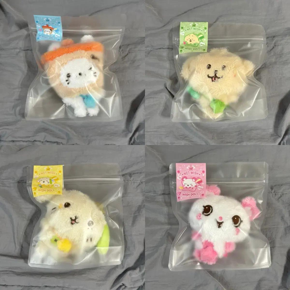 엔시티위시 위시돌