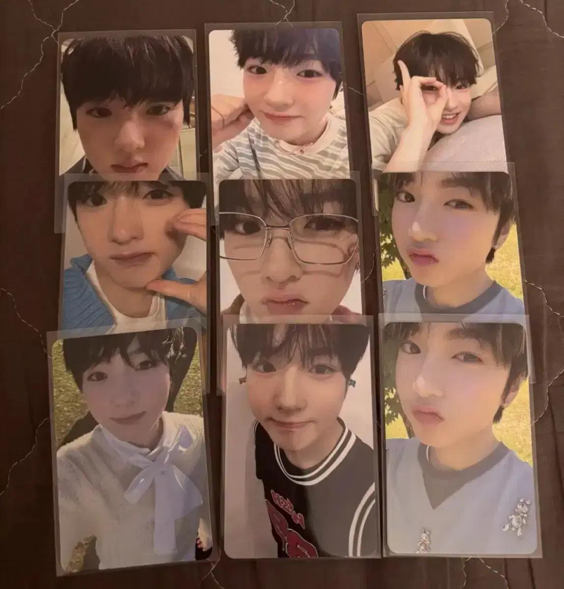 엔시티 위시 사쿠야 포카 시그 송버드 스테디 팝팝