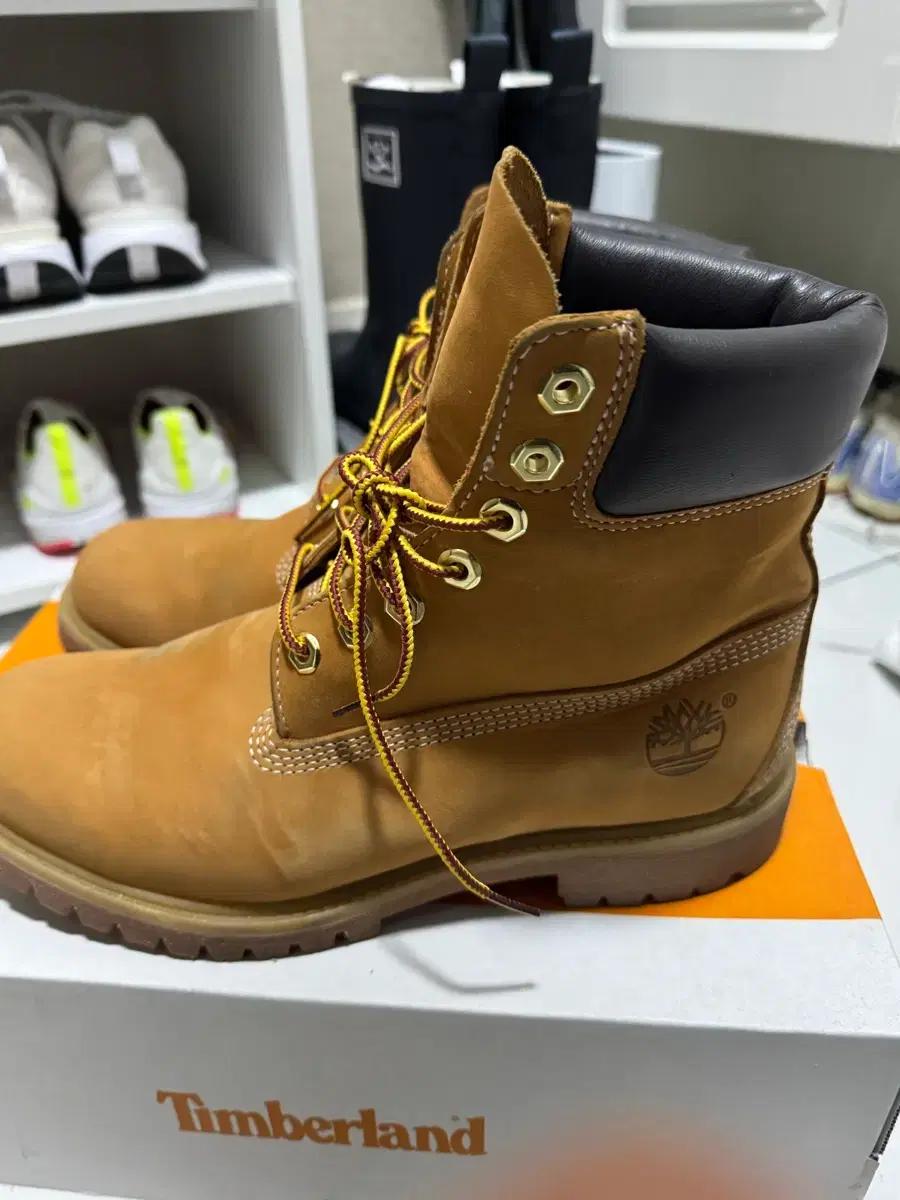 팀버랜드 6인치 워터프루프 와이드