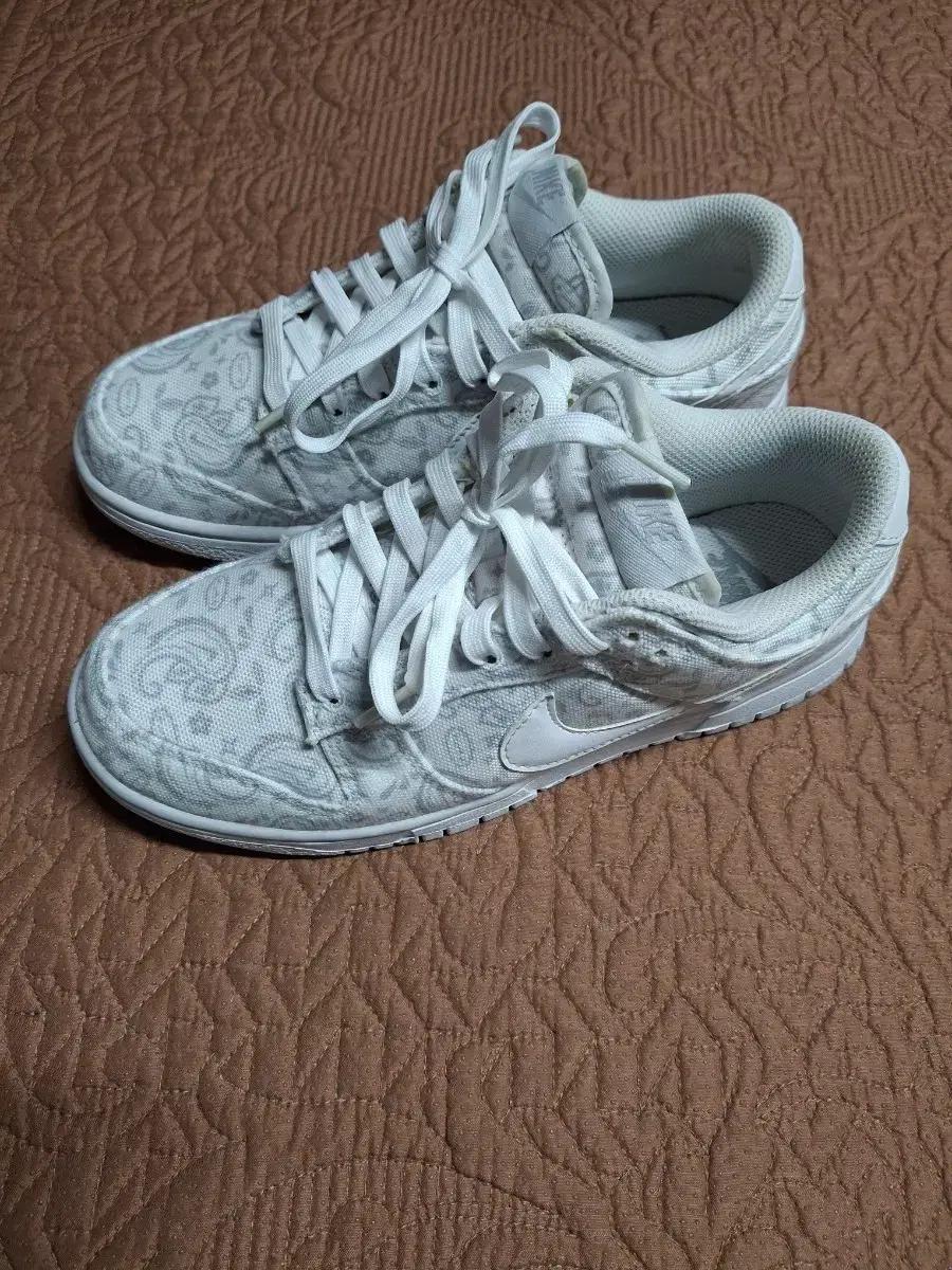 240 나이키 덩크로우 여성 운동화 240 [2104]