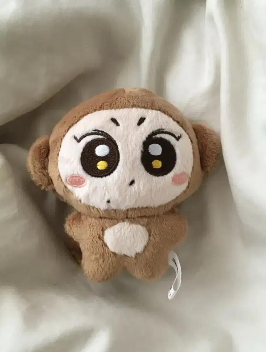 엔하이픈 쩡숭이 양정원 10cm 인형 판매 양도