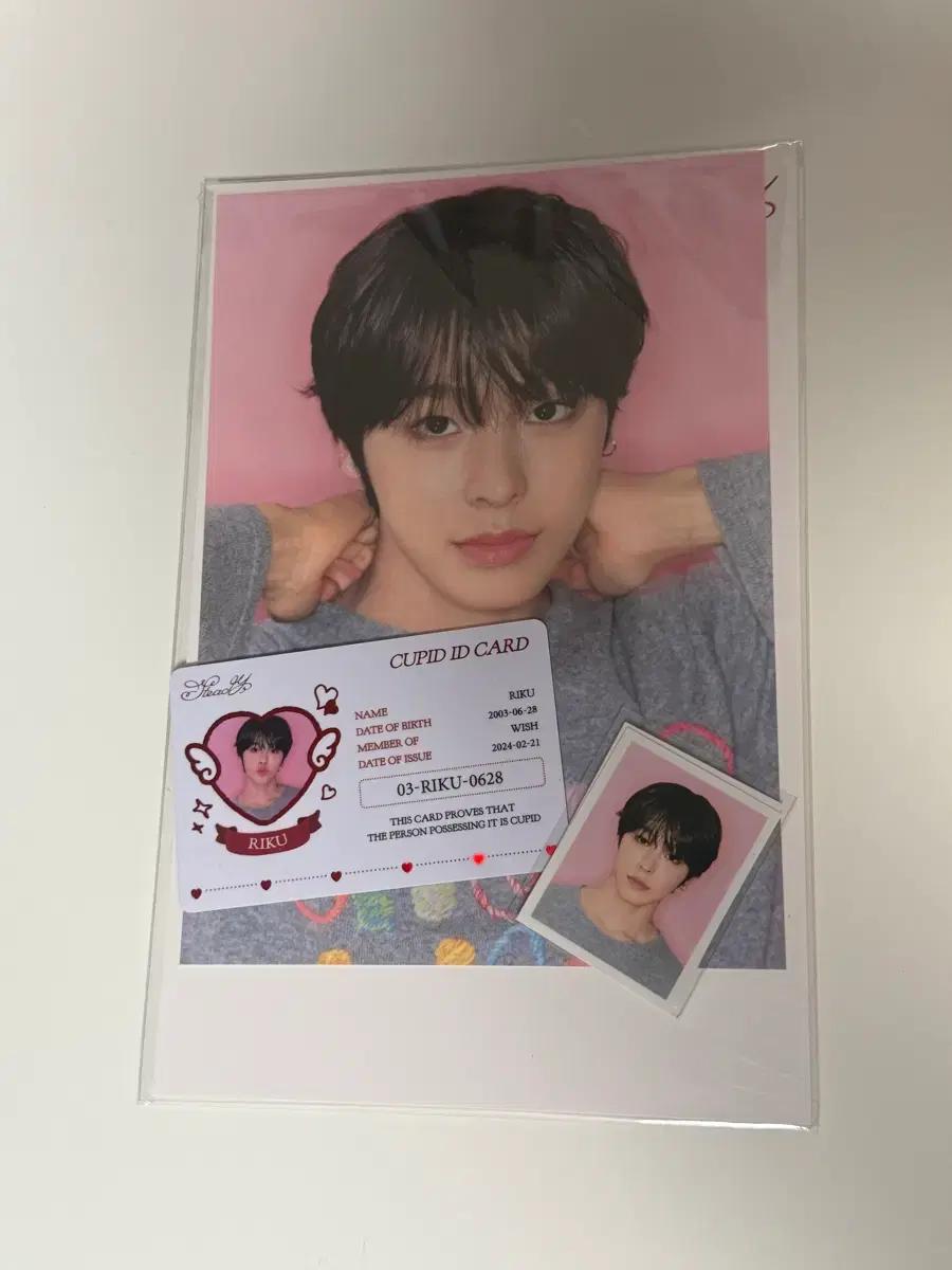 엔시티 위시 리쿠 스테디 포토세트 팝업 아이디카드 증사