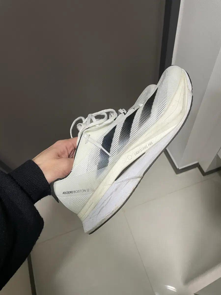 아디다스 아디제로 보스턴 12 흰색 280